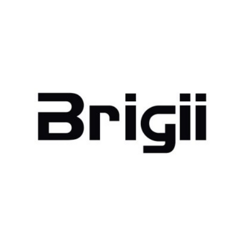 Brigii
